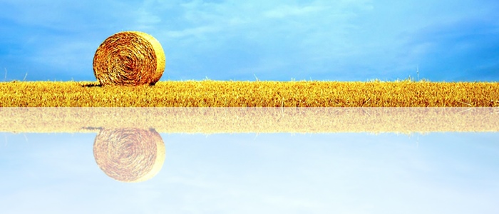 Création Sites Internet