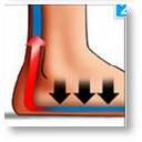 Le sport et le retour veineux